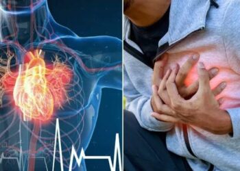 হৃদরোগ আজকাল সব বয়সীদের মধ্যেই হয়, তাই জেনে নিন কী করবেন আর কী করবেন না